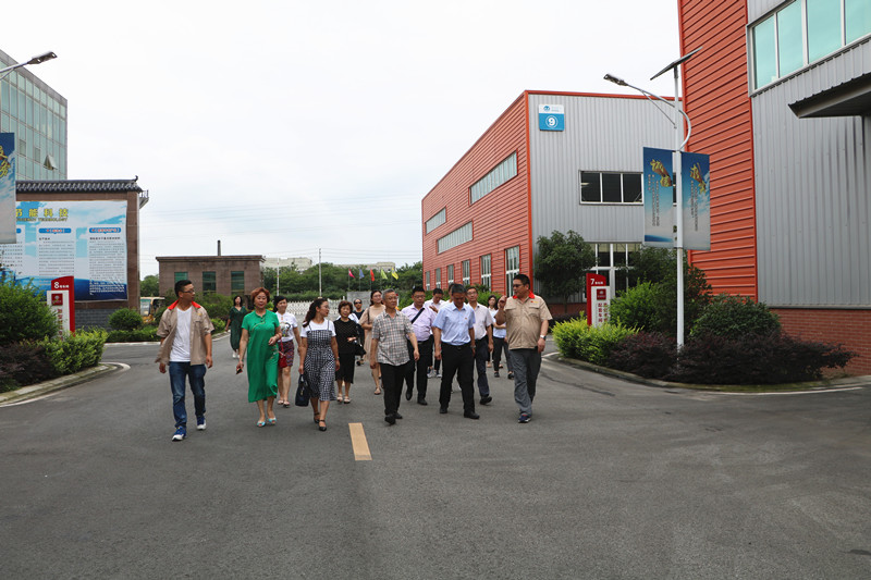 1623999118292487.jpg 1564537409794013.jpg